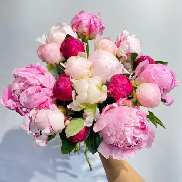 perfect mixed Peonies from Wild Bunch
