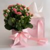 Sweet Petal Pot