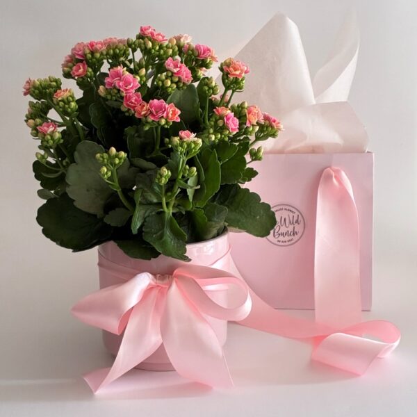 Sweet Petal Pot