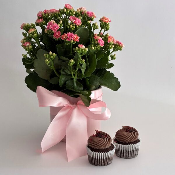 Sweet Petal Pot