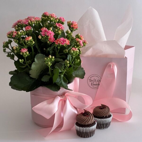 Sweet Petal Pot