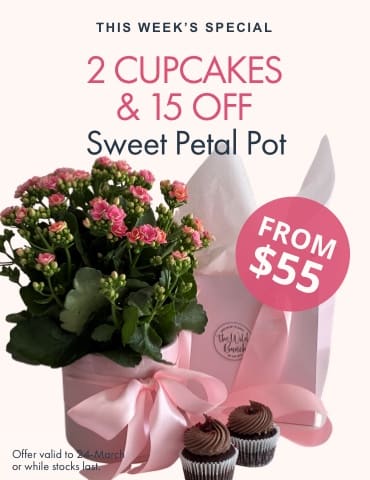 Sweet Petal Pot Promotion