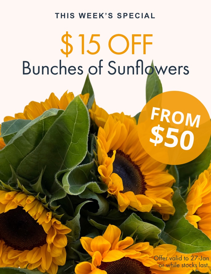 Bunches of Sunflowers