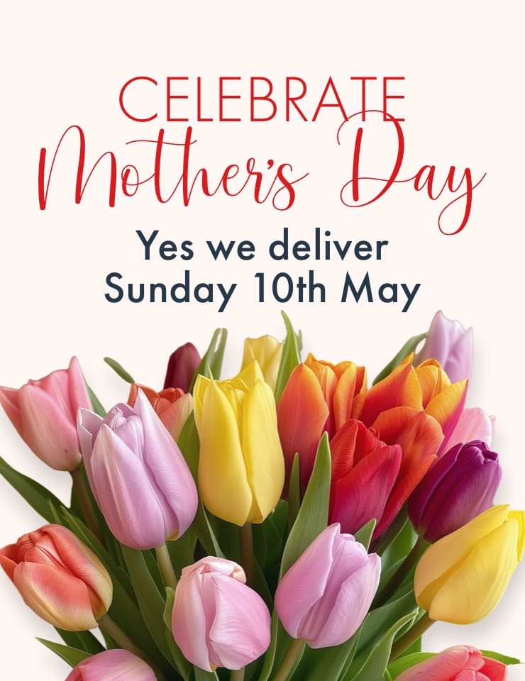 mothers day flowers and gifts